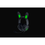 Auriculares con Micrófono Razer RZ04-04510100-R3M1 Negro