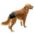 Pañales Para Perros Talla 6.5 - 54-75 Cm - Negro (12 Uds.)